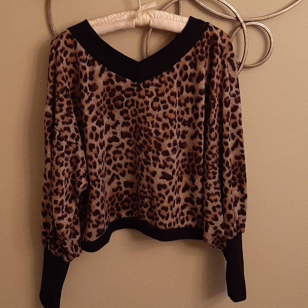 Boutique cheetah dolman sleeve top